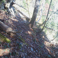 191104_p16.jpg