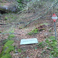 200621_p15.jpg