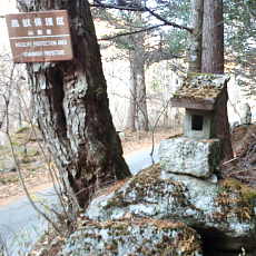 201117_p16.jpg