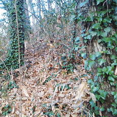 201206_p03.jpg