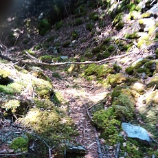 220528_p20.jpg