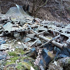 230304_p05.JPG