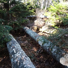 221028_p17.jpg