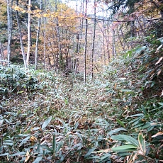 221014_p05.jpg