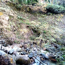 221014_p16.jpg