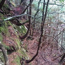 230520_p09.jpg