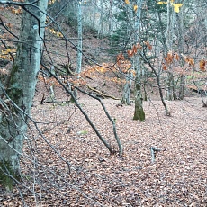 231123_p22.jpg