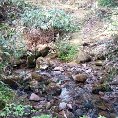 240612_p59.jpg