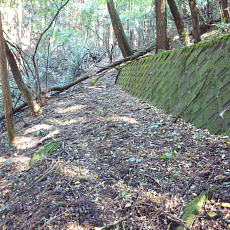 211020_p11.jpg