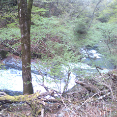 120512_p06.jpg