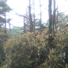 120729_p05.jpg