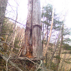 130506_p18.jpg
