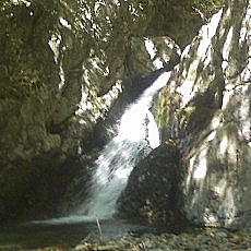 131013_p13.jpg