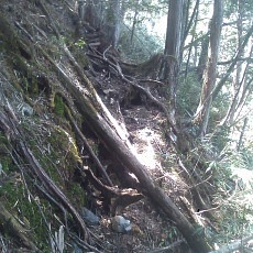 140504_p16.jpg