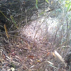141004_p12.jpg
