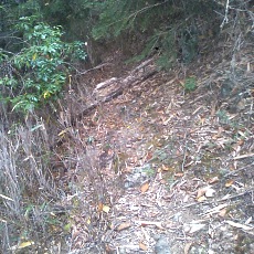 141004_p19.jpg