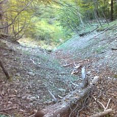 150523_p05.jpg