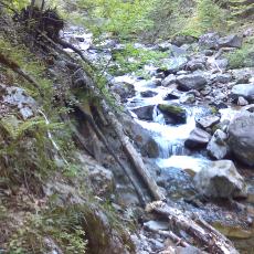 150523_p21.jpg