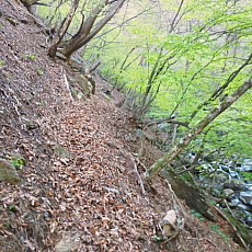 170429_p04.jpg