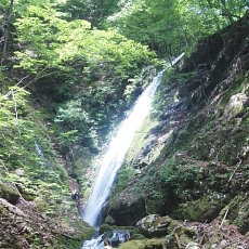 190614_p05.jpg