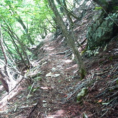 190614_p13.jpg