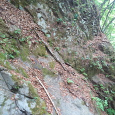210515_p04.jpg