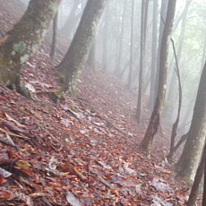 210522_p10.jpg