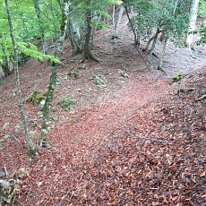 220515_p07.jpg