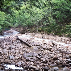 220618_p59.jpg
