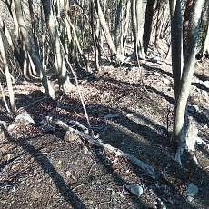 230304_p15.JPG