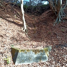 231123_p01.jpg