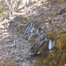 160320_p11.jpg