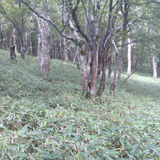 110815_p12.jpg