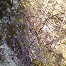 130428_p03.jpg