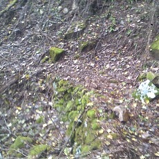 131006_p16.jpg
