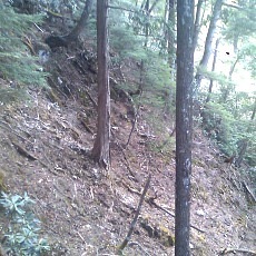 140504_p25.jpg