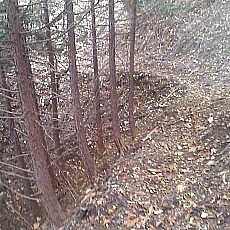 141020_p23.jpg