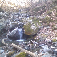 150330_p09.jpg
