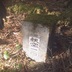 150430_p06.jpg