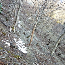 170203_p11.jpg