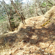 180422_p16.jpg