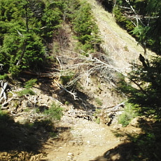 180428_p20.jpg