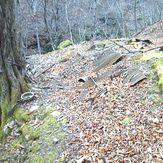 190302_p19.jpg