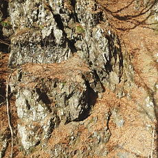 190420_p06.jpg