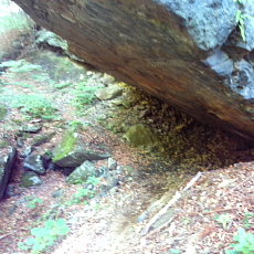 200605_p12.jpg