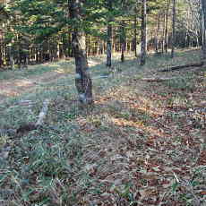 201117_p36.jpg