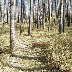 201117_p38.jpg