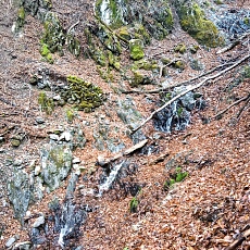220416_p16.jpg