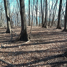 230304_p13.JPG