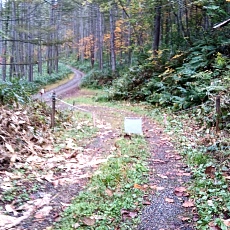 221014_p11.jpg